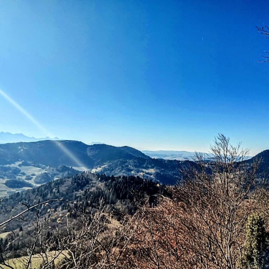Вілла Domek Na Berechu Domek W Gorach-Pieniny Шляхтова Екстер'єр фото